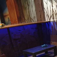 �������, 21 ���, �������