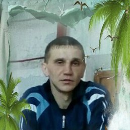 , 37 , 