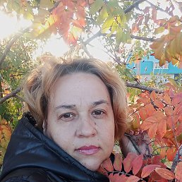, 42, 