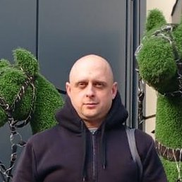 �����, �����-���������, 40 ���