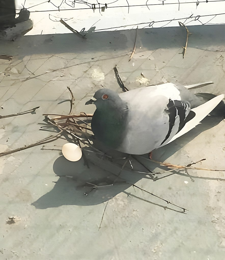 ����� ���� ����� �������� ������ ���������� �������� ������������ � ���������� �������� ... - 2