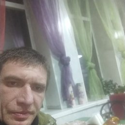 , 37, 
