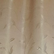 ������, 39 ���, ��������