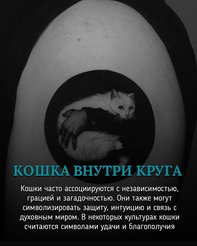 ,    - 11  2025  08:26