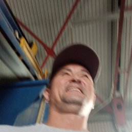 ���� ��������, ������������, 41 ��� - ��������� 2 ������� 2026