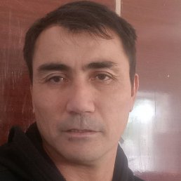 ������, �����, 45 ���