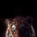 ���� �����, �����, 39 ��� - ��������� 8 ������ 2025 � ������ ���� ����������