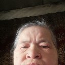 ���� ��������, ������, 68 ��� - ��������� 14 ������� 2026 � ������ ���� ����������
