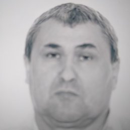 ��������� ��������, ������, 56 ���