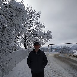 , 41, 