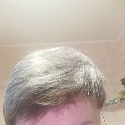 ���� ���, ������, 66 ��� - ��������� 21 ����� 2026