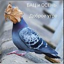 ���� ������, ���� - ��������� 25 �������� 2024 � ������ ������ ��������