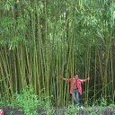 ���� ������, ���������, 42 ���� - ��������� 3 ������ 2024