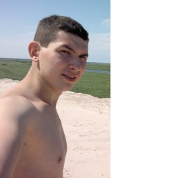 , 33, 