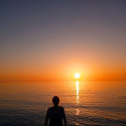 �������, ������, 59 ���