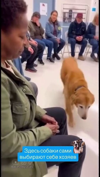 ��� ����� ����������� - 2