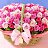  @Lakshmi@,  -  19  2025