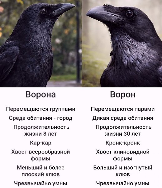 ���� ��� �e�, ��� �e��� ����e�. (c) ����p�c�� ����� | ����a � �a���