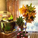 ���� ��������, �����, 68 ��� - ��������� 24 ��� 2025 � ������ ������ ��������
