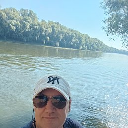 , 53, 