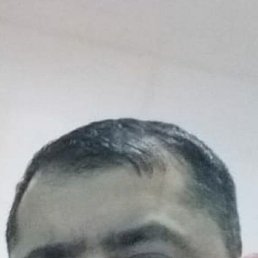 ���� ������ �����, �����������, 44 ���� - ��������� 8 ������ 2024