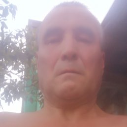 , 56 , -