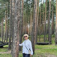 ������, , ����������