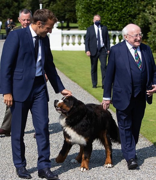 ��������� �������� ����� ������� �������� ����� �������������� � �������� ������������. ��� ������ ... - 7