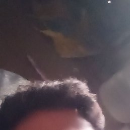 Guddu Shaikh, ��������, 22 ����