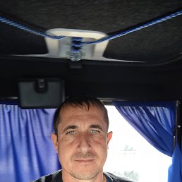 ������, 37 ���, ������