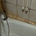 ���� ������, ������, 49 ��� - ��������� 14 ������� 2024 � ������ �������