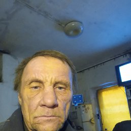 ����, 49 ���, ������