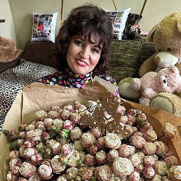 ������, �����, 48 ���