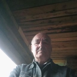 , 61 , 