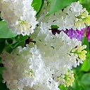 ���� ����, ������ - ��������� 27 ������ 2026 � ������ ������ ��������