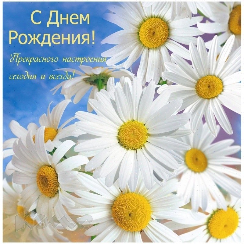   ,    . - 8  2024  10:59