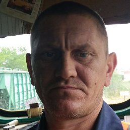 ������, �������, 46 ���