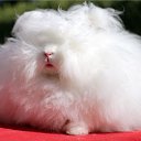 ���� �����������, ������ - ��������� 20 ������ 2025 � ������ ������ ��������