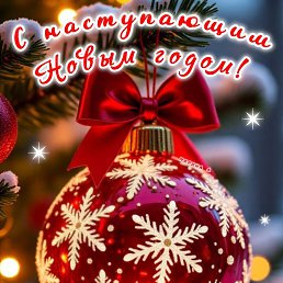 ���� Live With Dignity, ���� - ��������� 31 ������� 2025