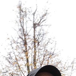  , 41, 