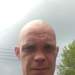 �����, ���������, 36 ���