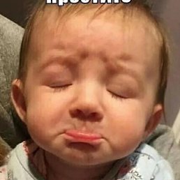 ����, ������, 84 ����