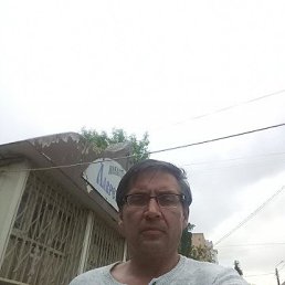 , 52, 