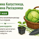 ���� Zv ����� ����� ���������!!! V, ������� - ��������� 18 ��� 2026 � ������ ������ ��������