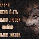 ���� ������, ������, 39 ��� - ��������� 24 ���� 2026 � ������ ���� ����������