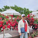 ���� ������, ������, 68 ��� - ��������� 6 ������ 2024 � ������ ���� ����������
