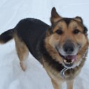 ���� �������, ������� ��������, 40 ��� - ��������� 3 ������� 2026 � ������ ����, ����, �������, �������� � ��� � ����