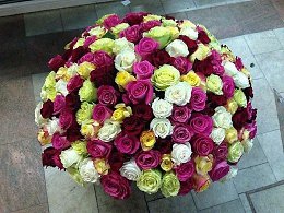 �����������