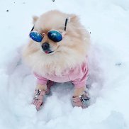 �����, , ������