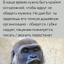 ���� �������, �����-���������, 60 ��� - ��������� 11 ���� 2024 � ������ ���� ����������